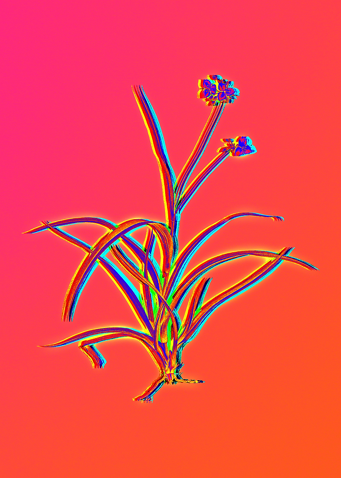 Red Botanical Illustration