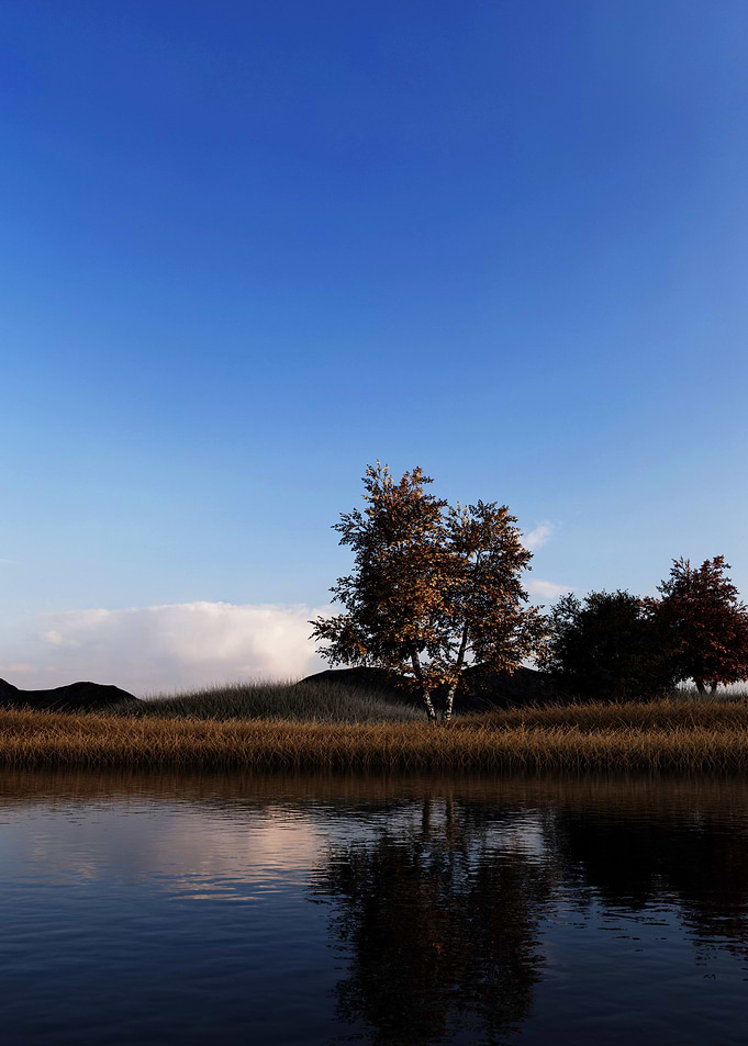 Grassland