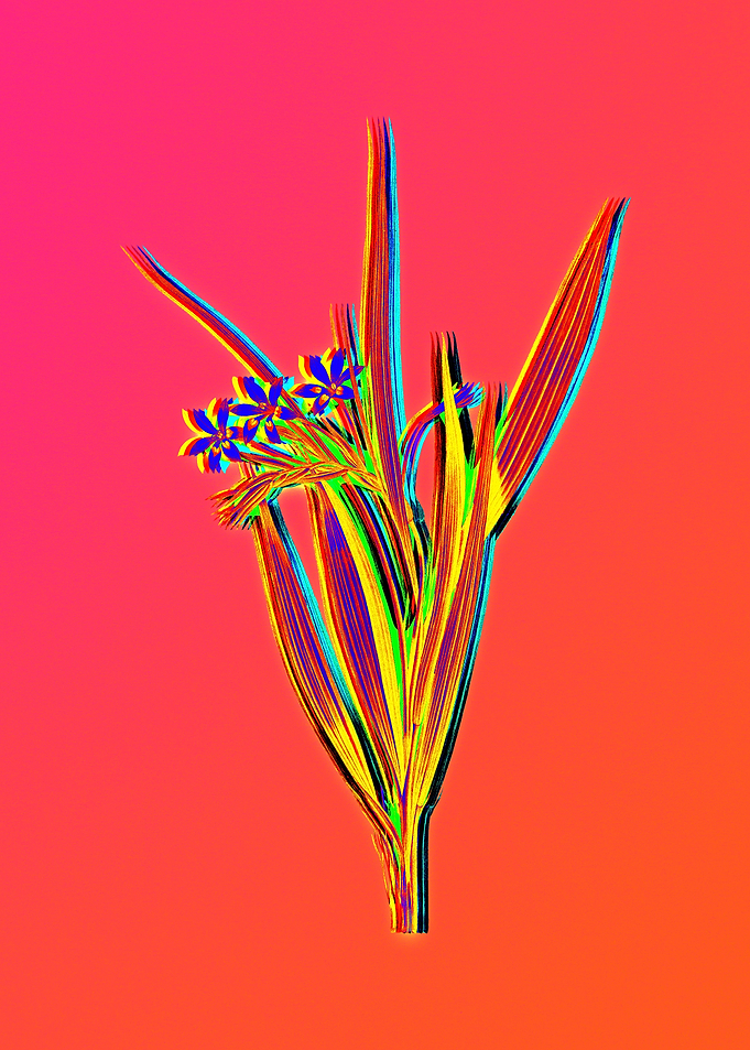 Neon Flowers Illustration