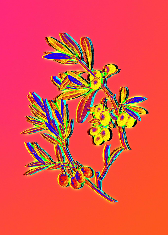 Neon Flower Illustration