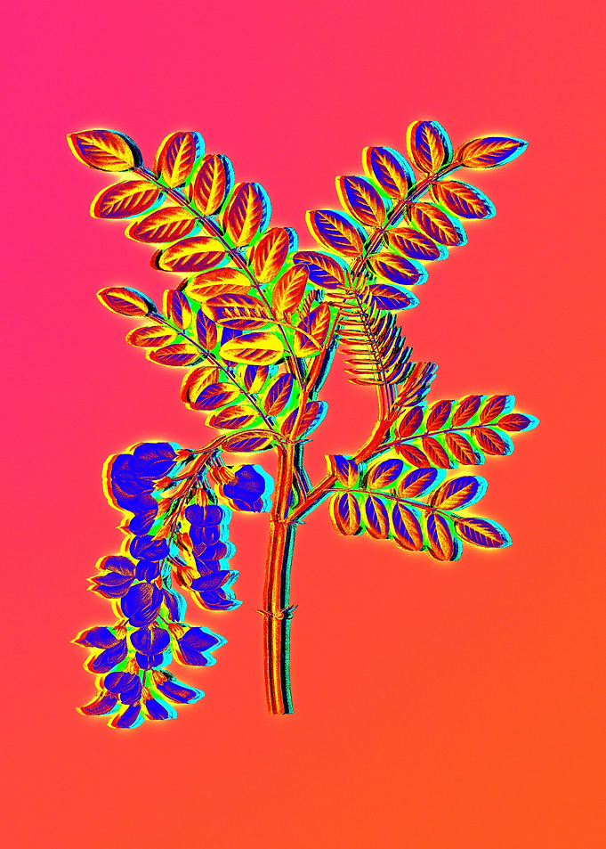 Neon Flower Illustration