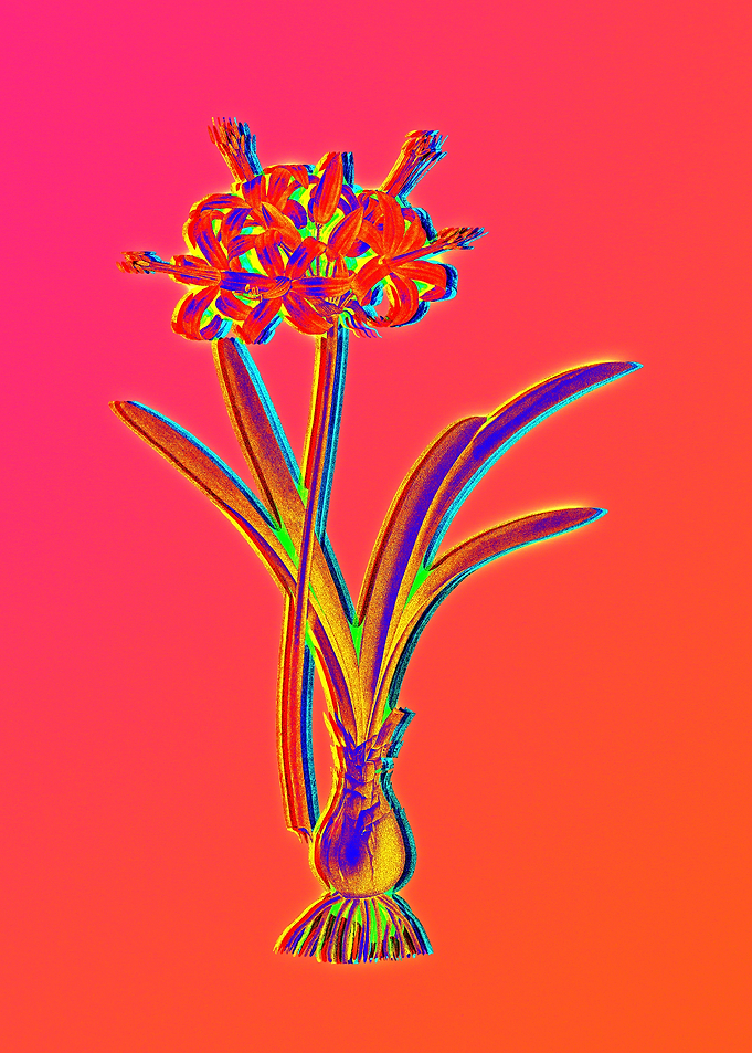 Neon Floral Illustration