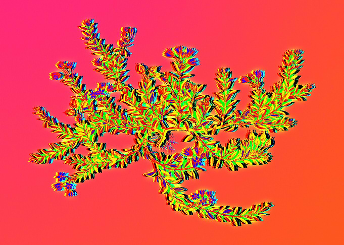 Neon Botanical Drawing