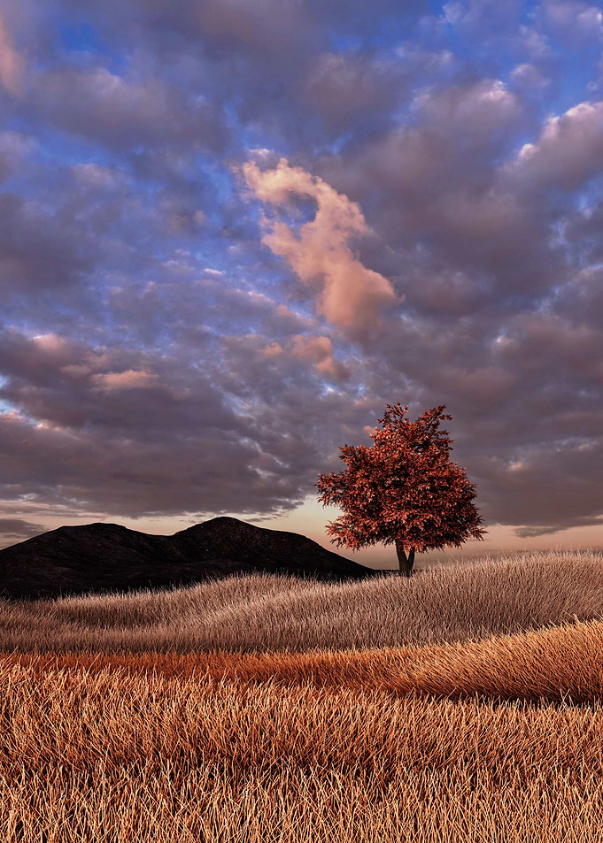 Grassland