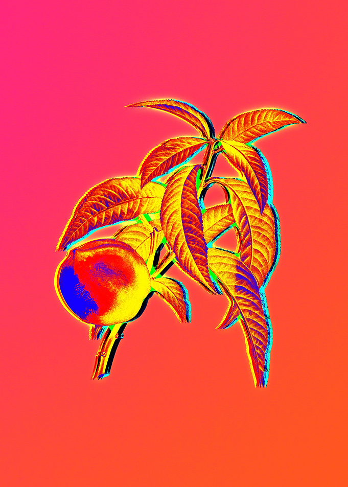 Neon Floral Illustration