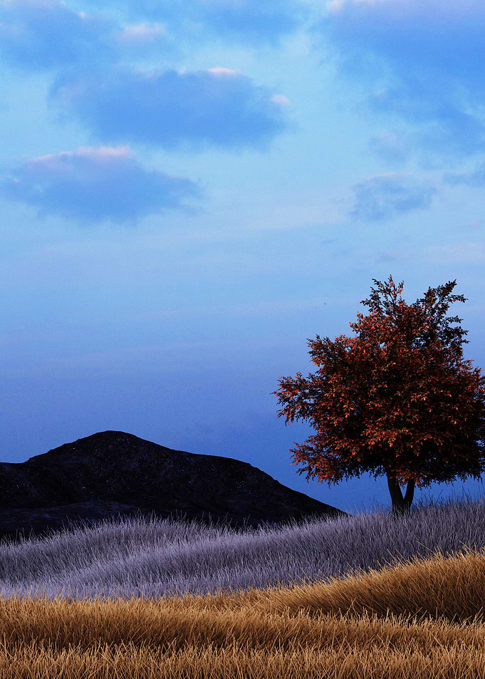 Grassland