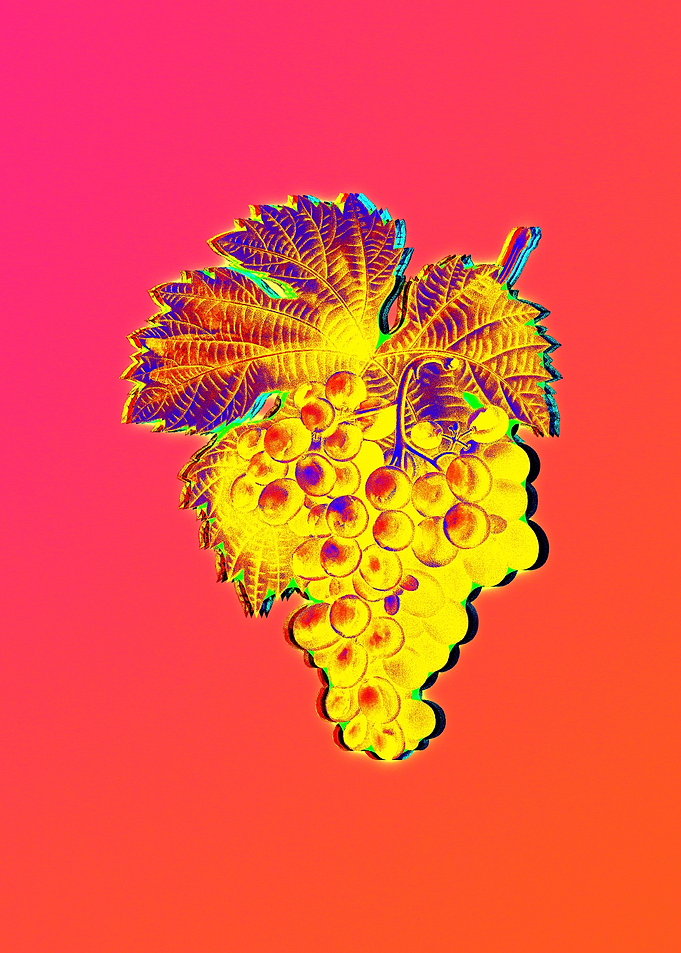 Yellow Flower Red Flower