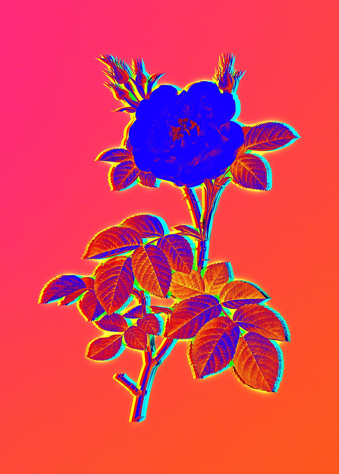 Neon Florals Illustration