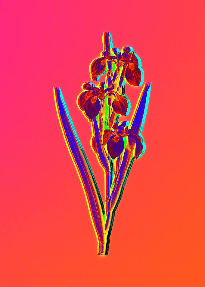 Neon Florals Illustration