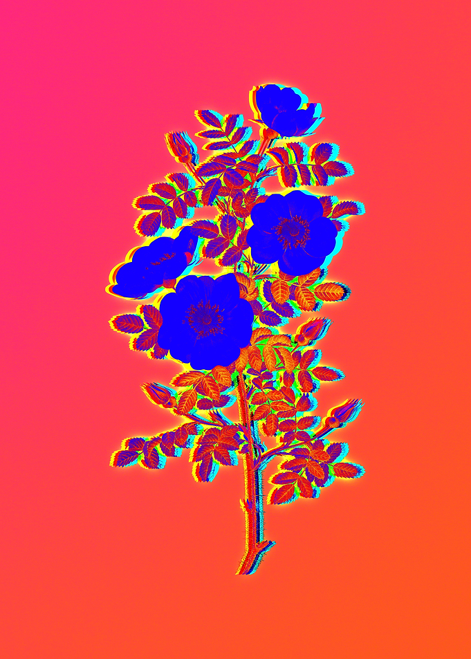 Neon Electric Blue Flower