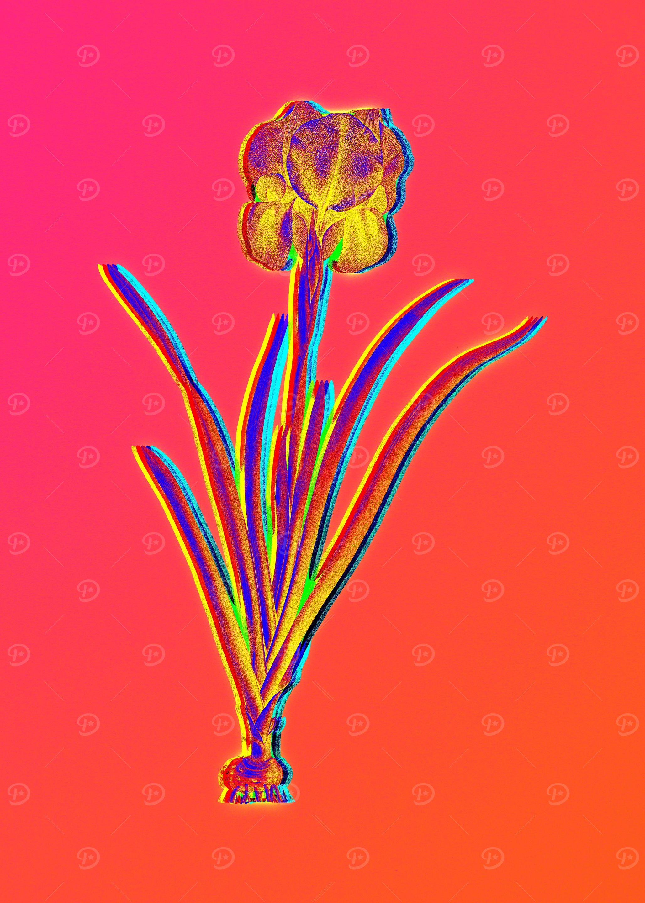 Hot Neon Pink Flowers