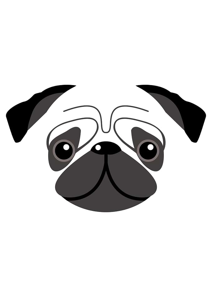 Pug Dog Face