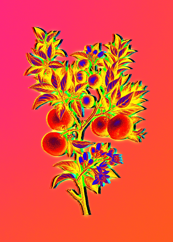 Neon Flower Illustration