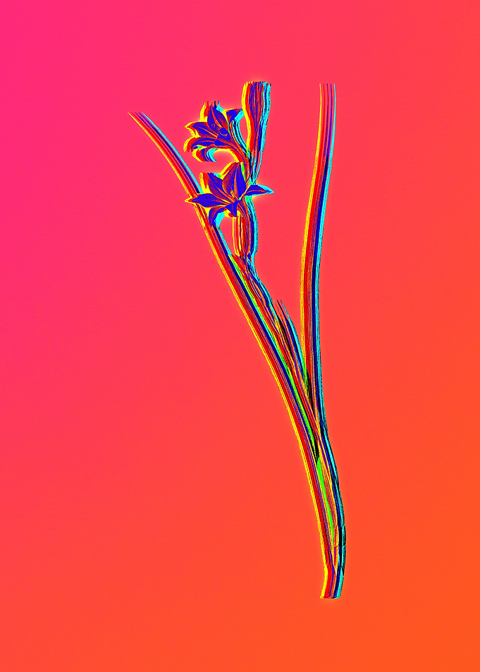 Neon Floral Illustration
