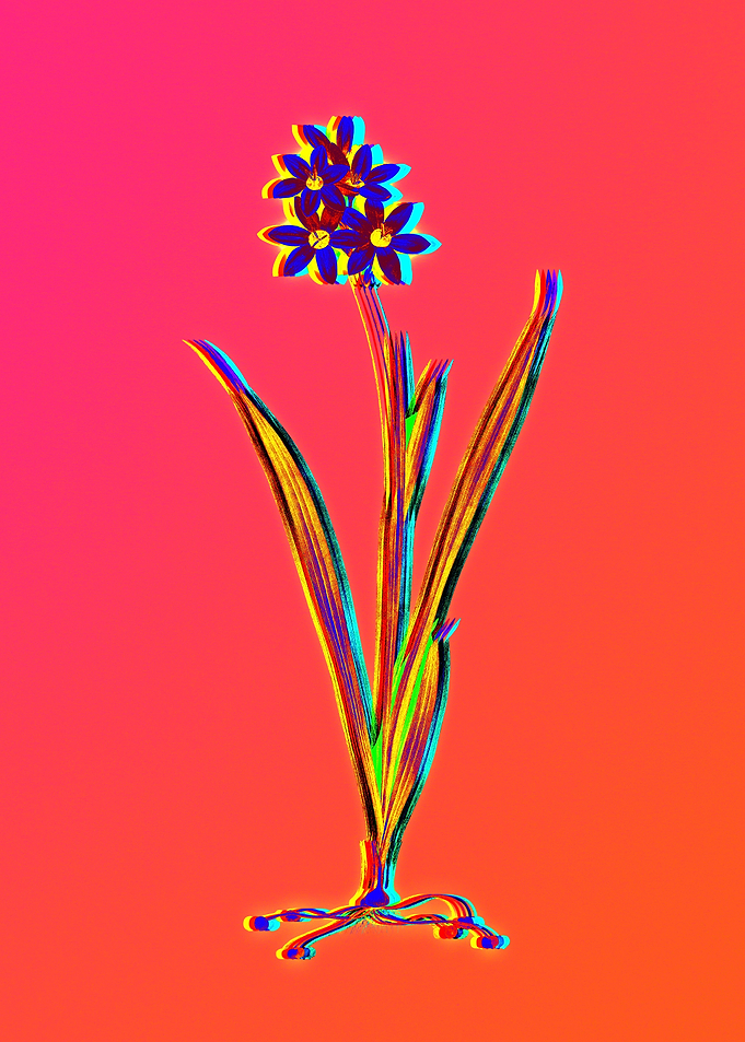 Neon Florals Illustration