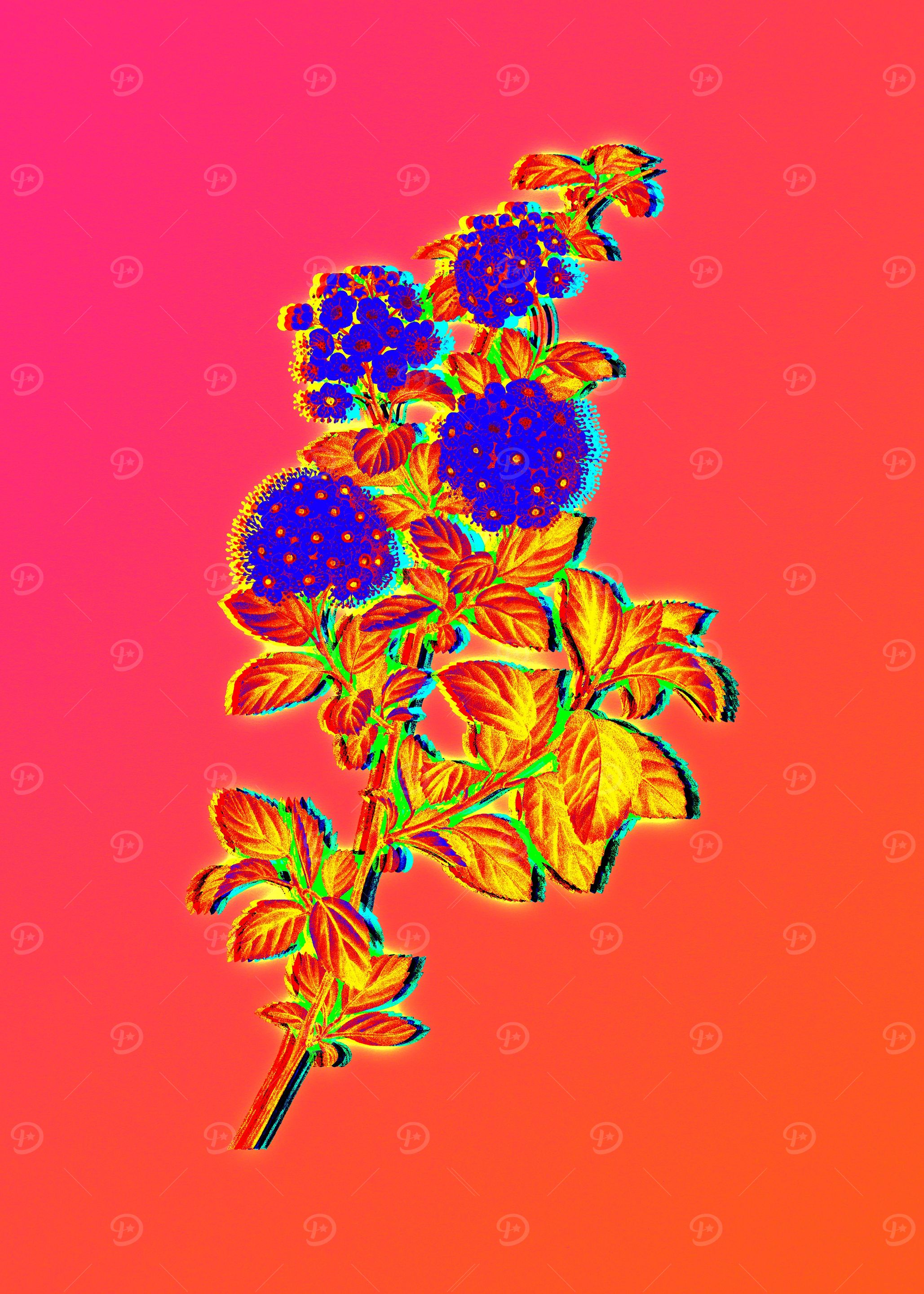 Yellow Flower Red Flower