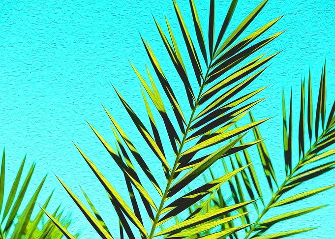 Sharp Leaves