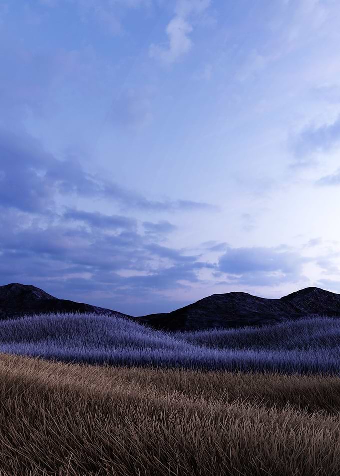 Grassland