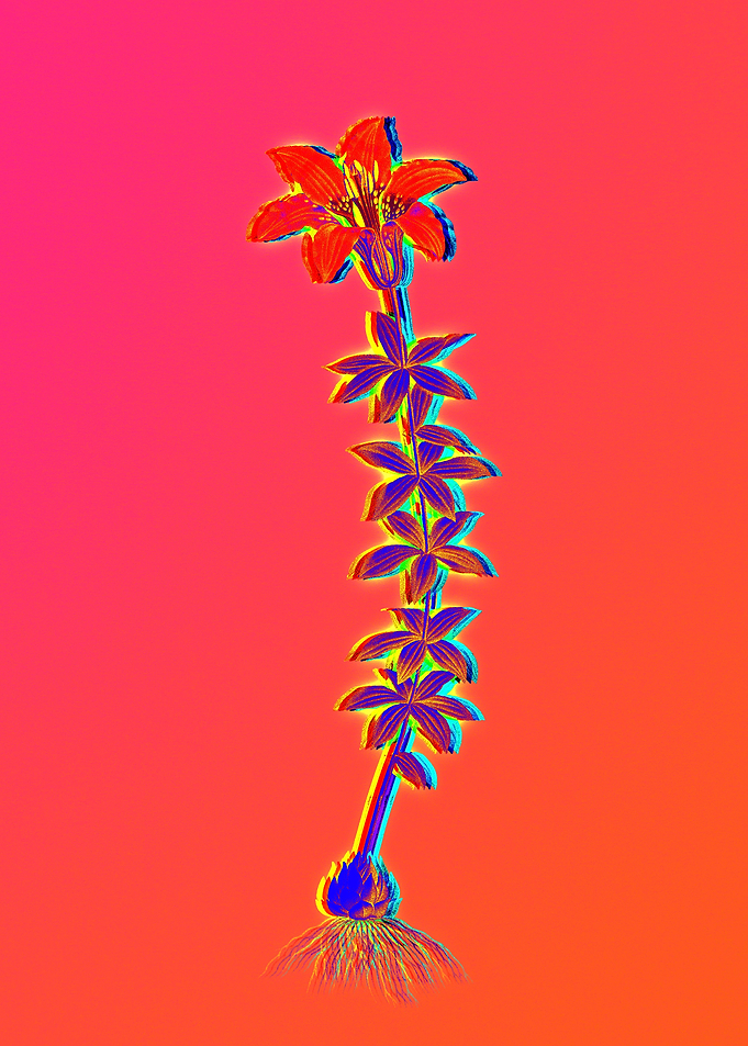 Neon Flowers Illustration