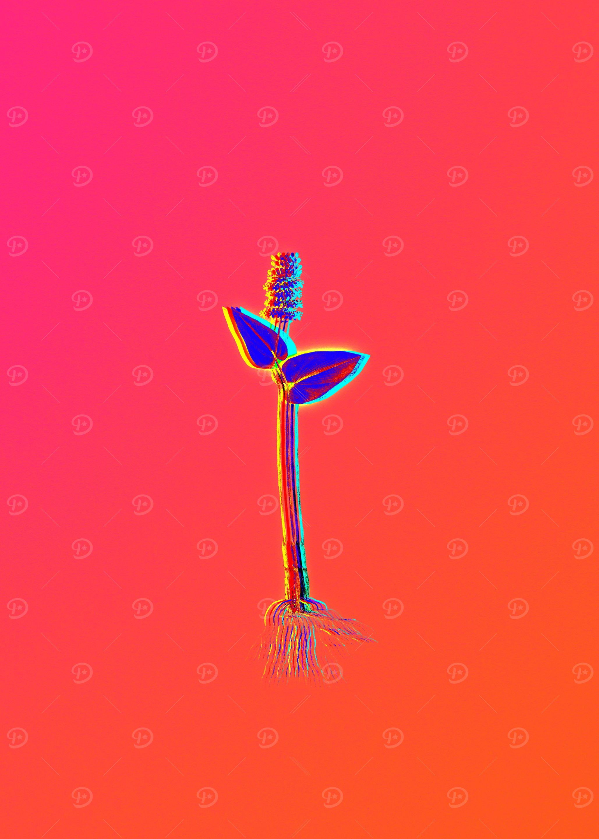 Hot Neon Pink Flowers