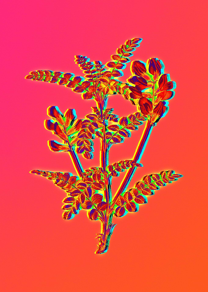 Neon Floral Illustration