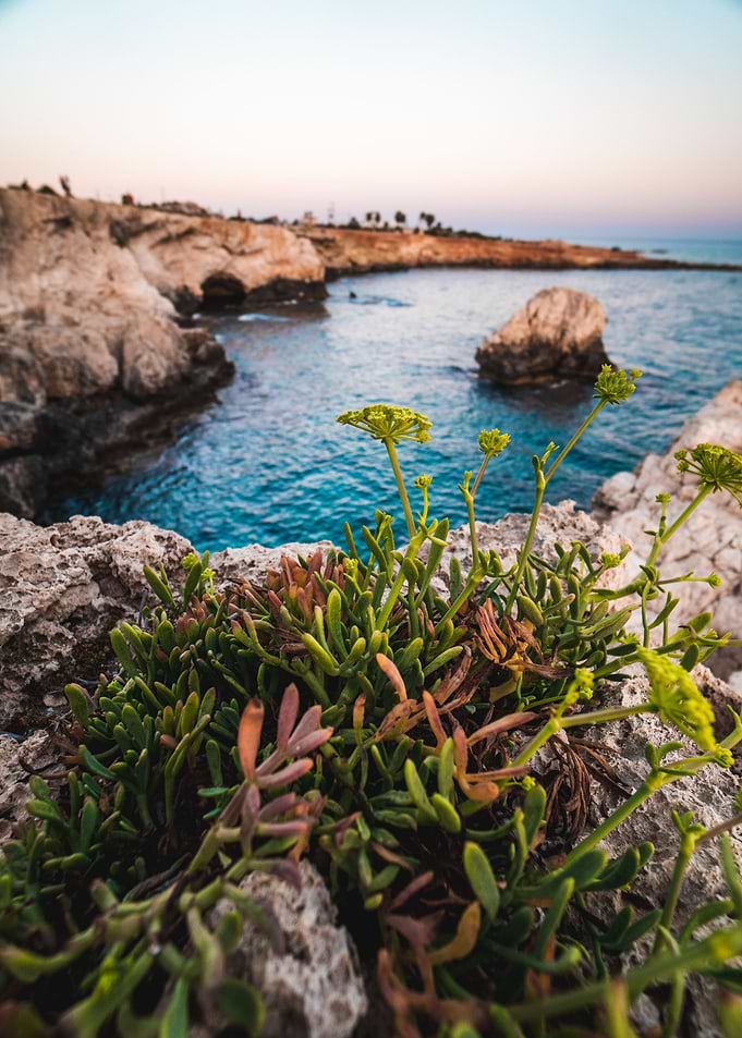 Waters of Ayia Napa