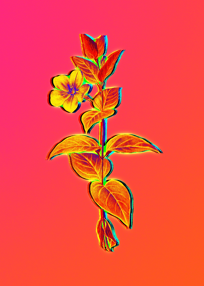 Neon Fabulous Flowers