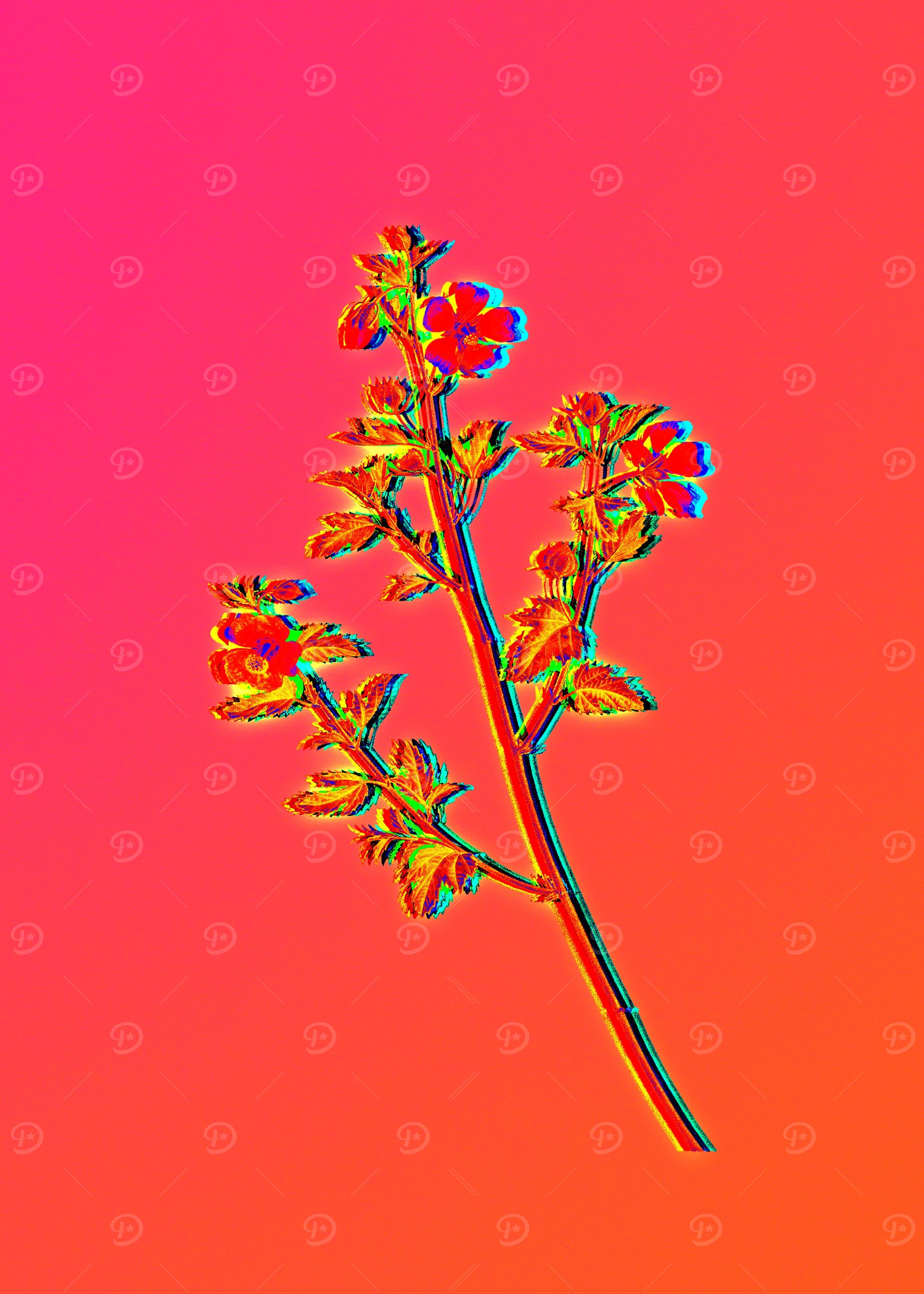 Neon Floral Illustration