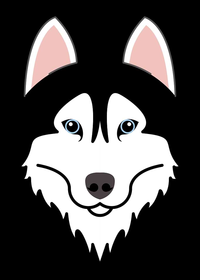 Siberian Husky Dog Face