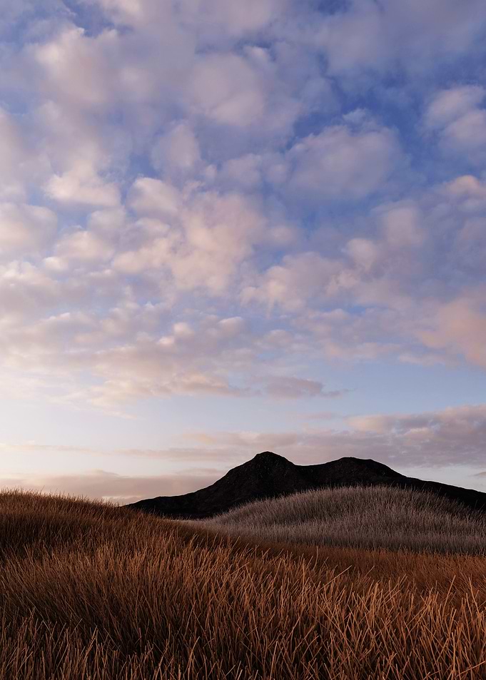 Grassland