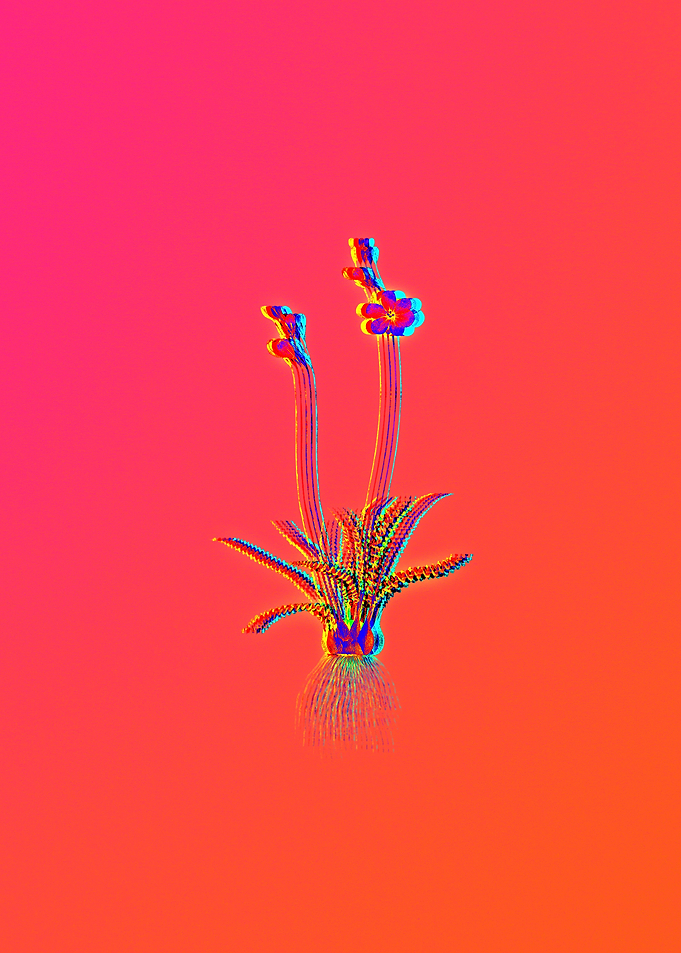 Neon Florals Illustration