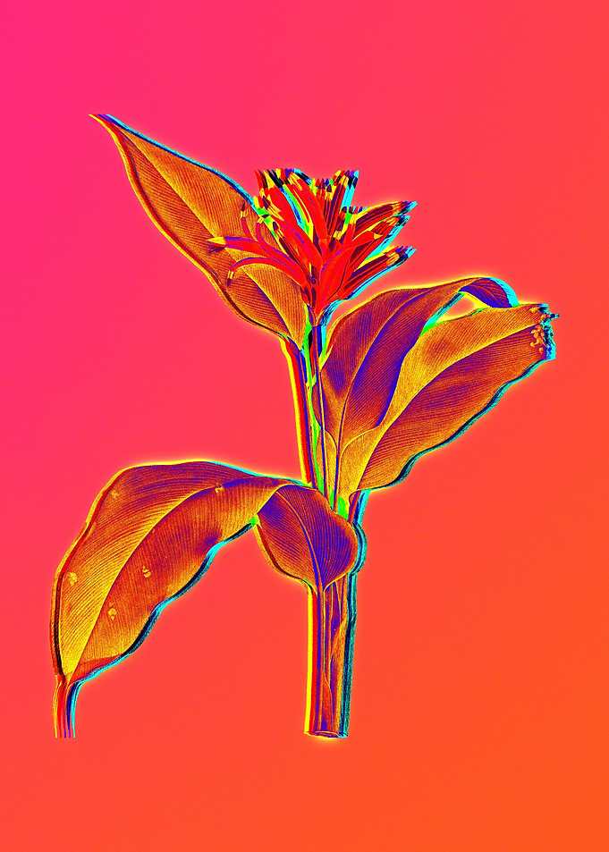 Pink Neon Blue Botanical