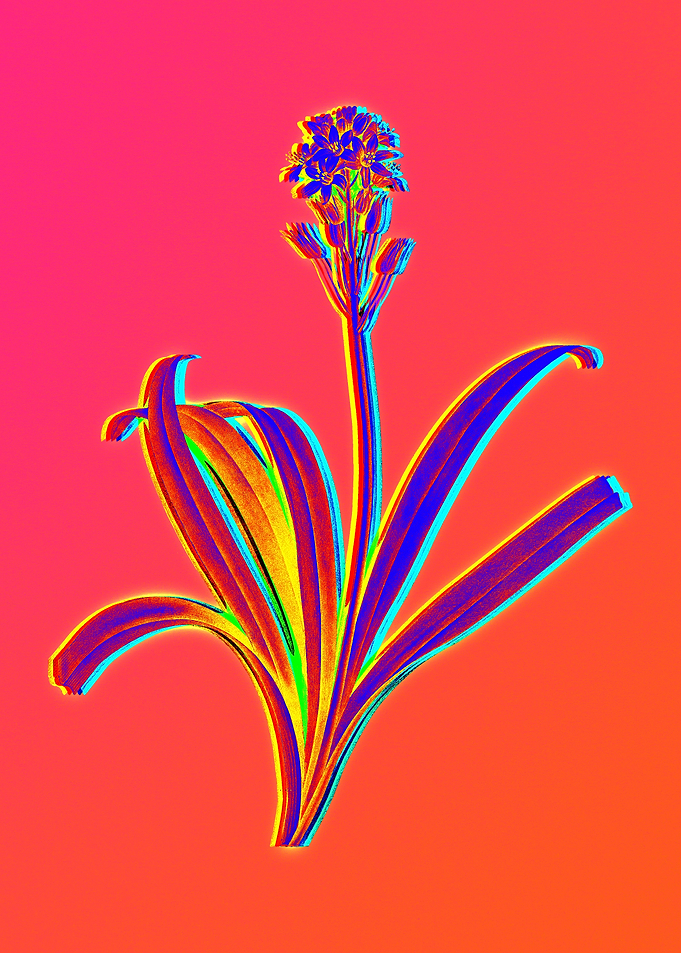 Neon Flower Illustration