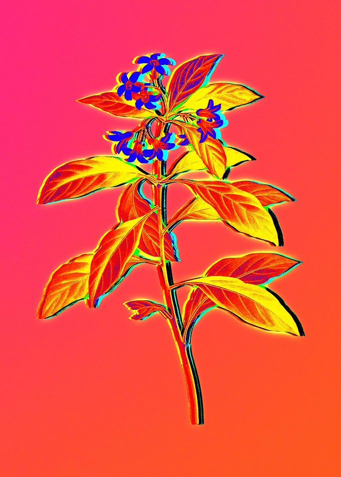 Neon Flower Illustration