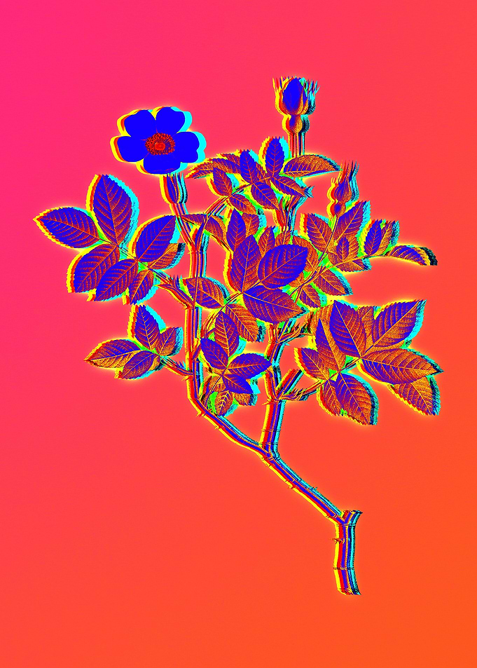 Pink Neon Rose Painting