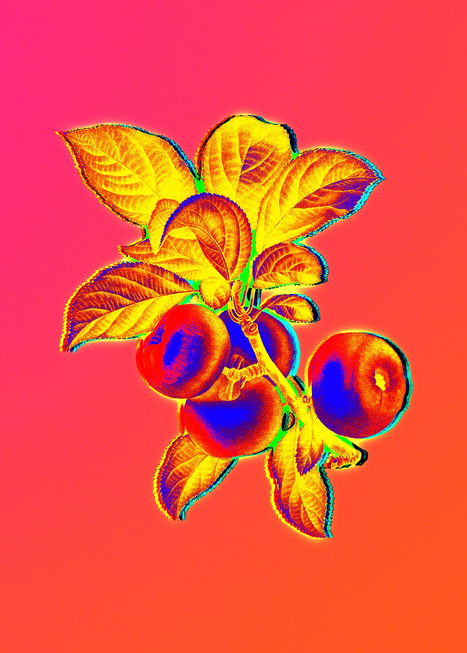 Neon Flower Illustration