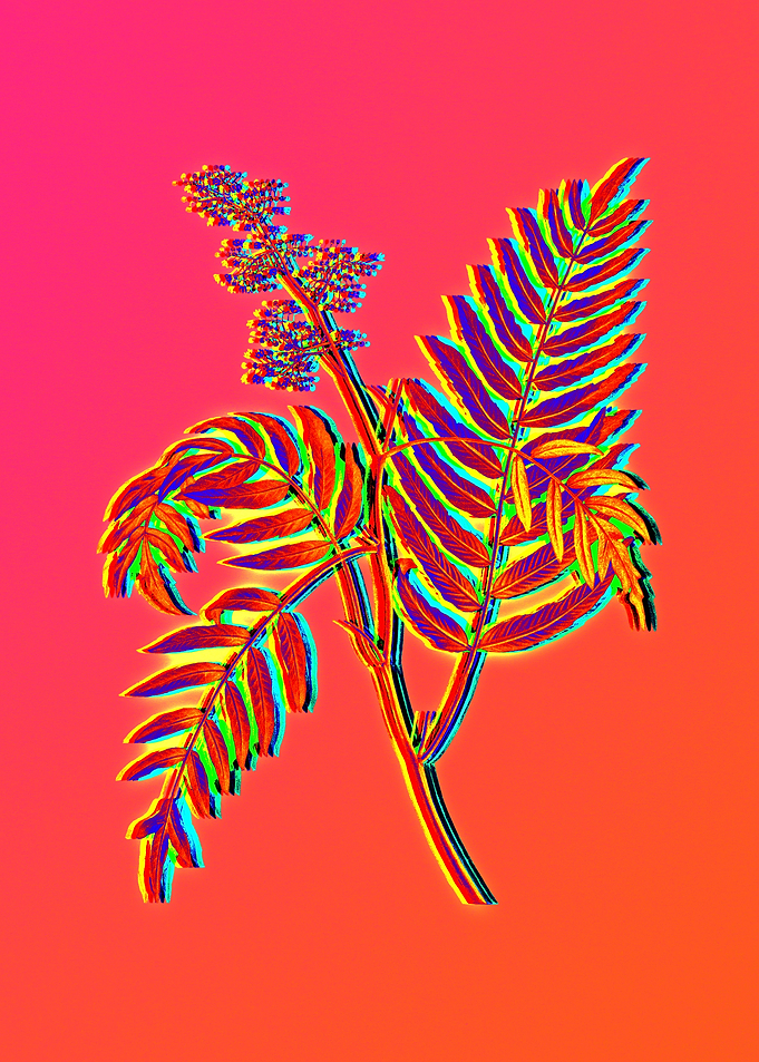 Neon Floral Illustration