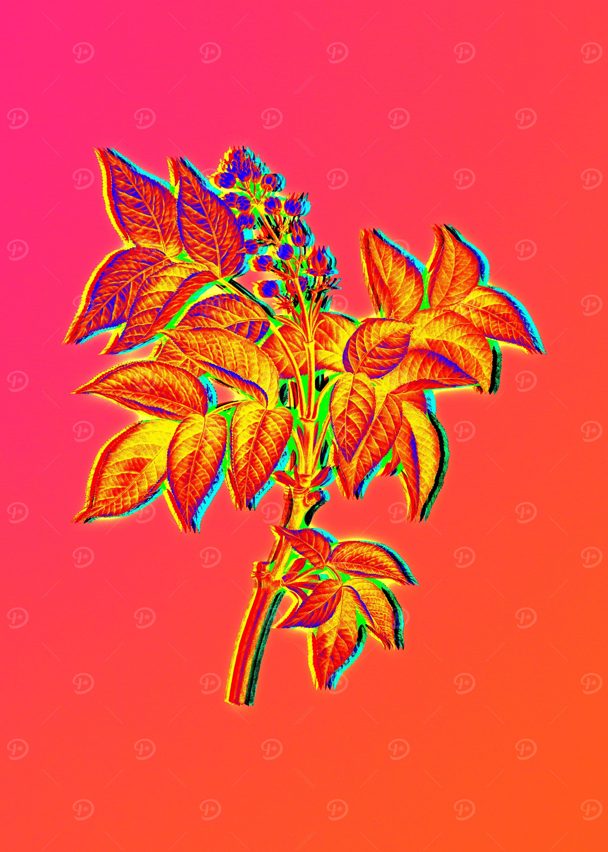 Pink Flower Yellow Flower