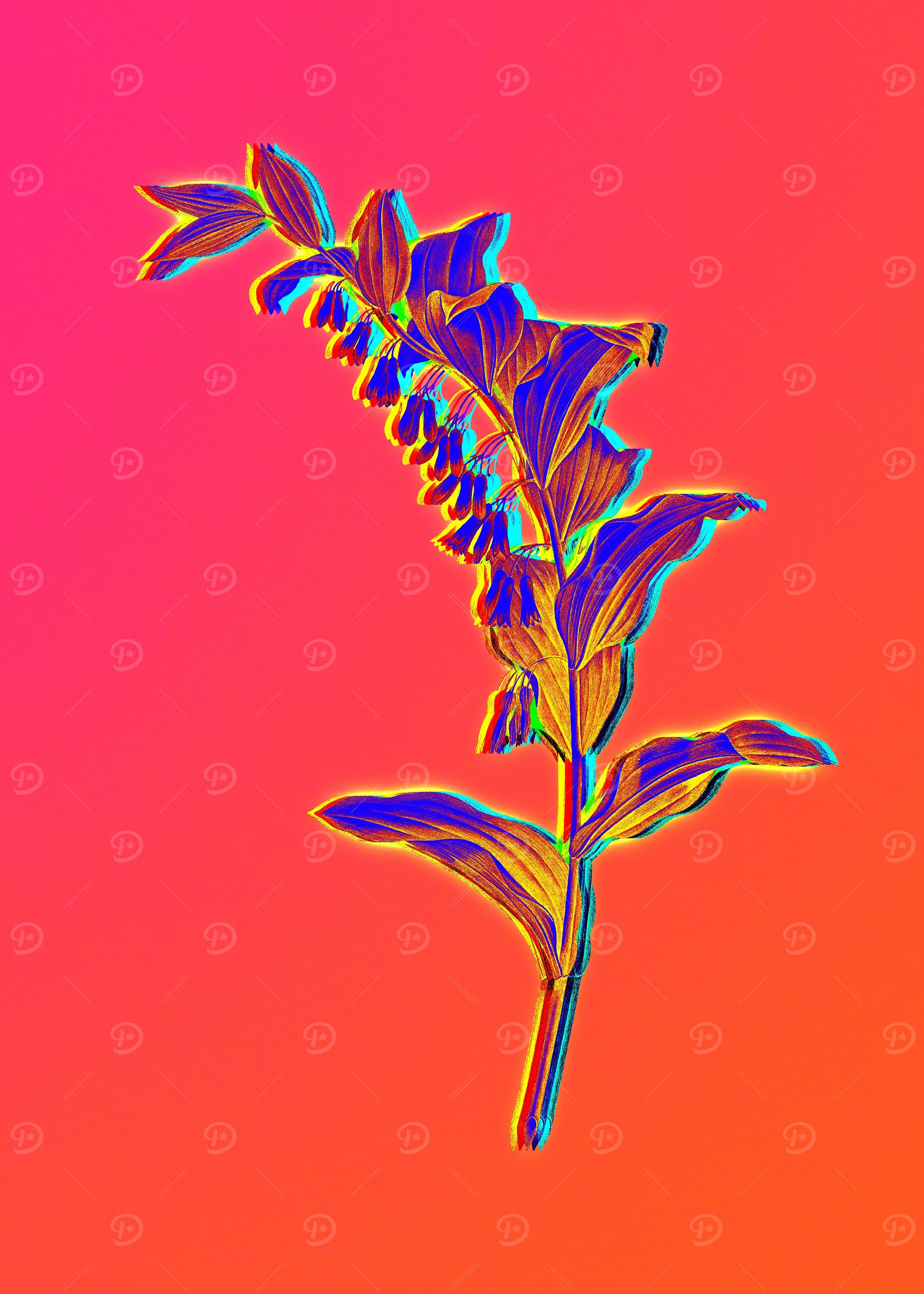 Neon Solomons Seal on Pink