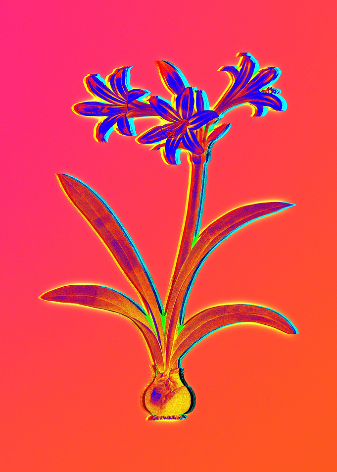 Neon Floral Illustration