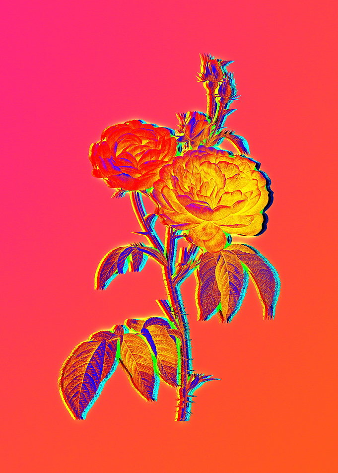 Neon Flowers Illustration