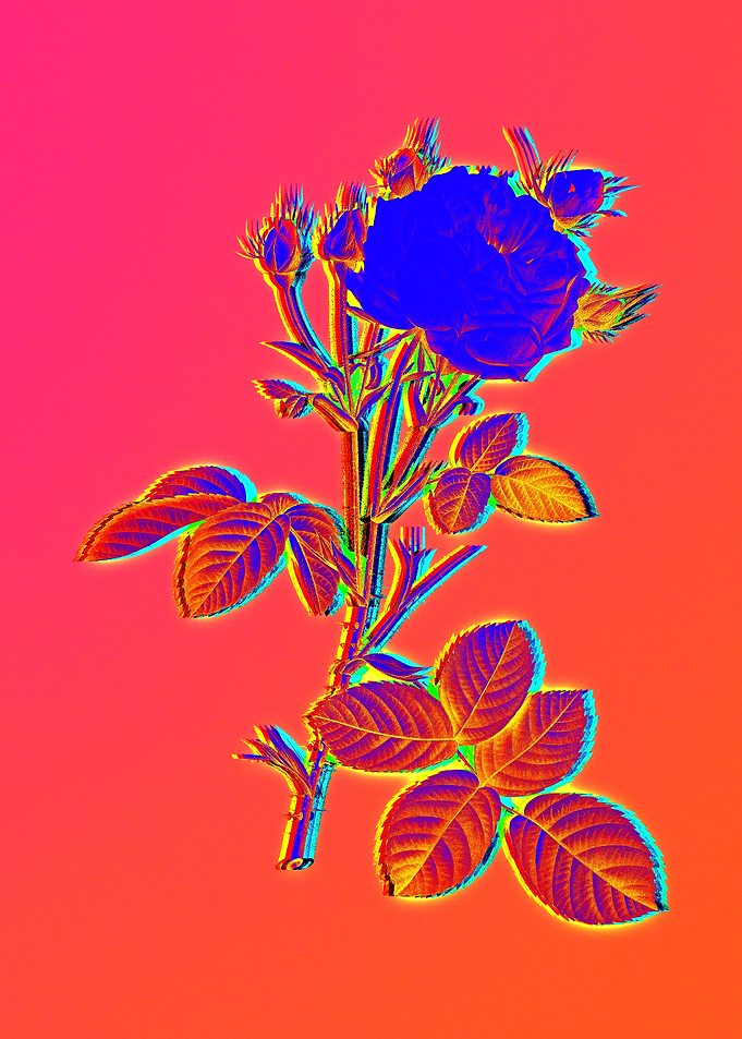 Neon Electric Blue Flowers