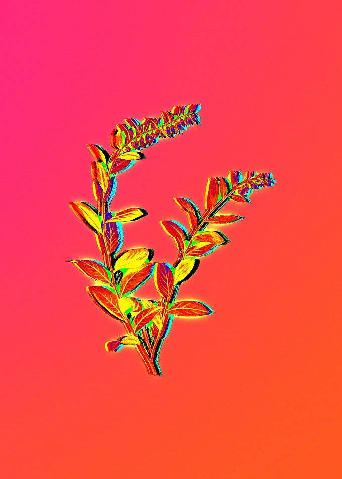 Neon Floral Illustration