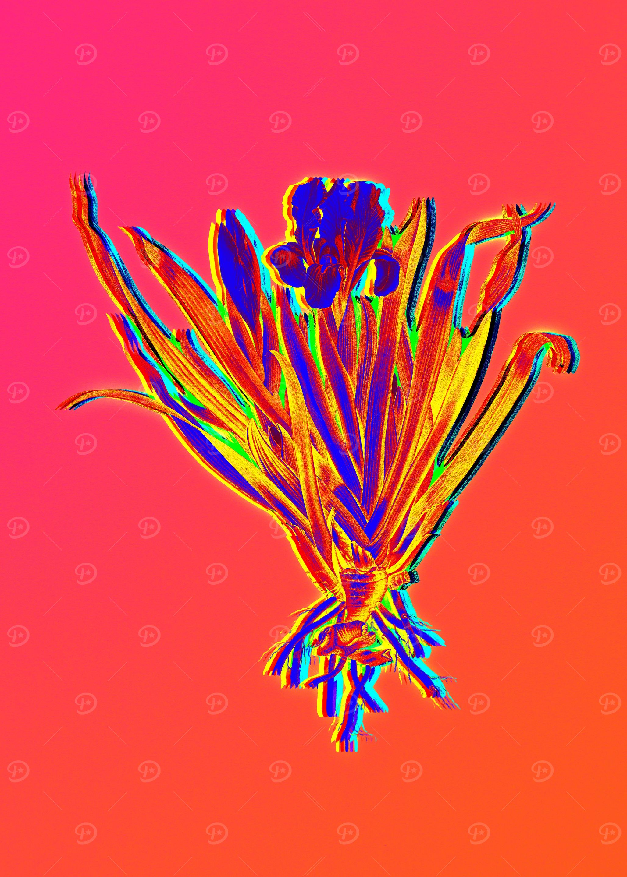 Neon Flowers Illustration