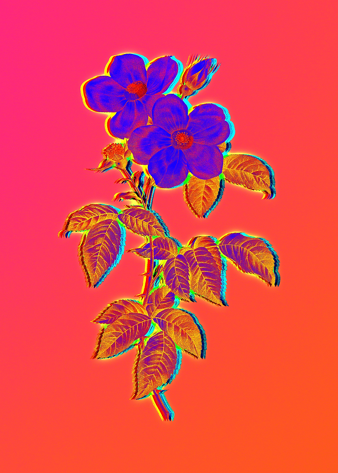 Pink Neon Rose Painting