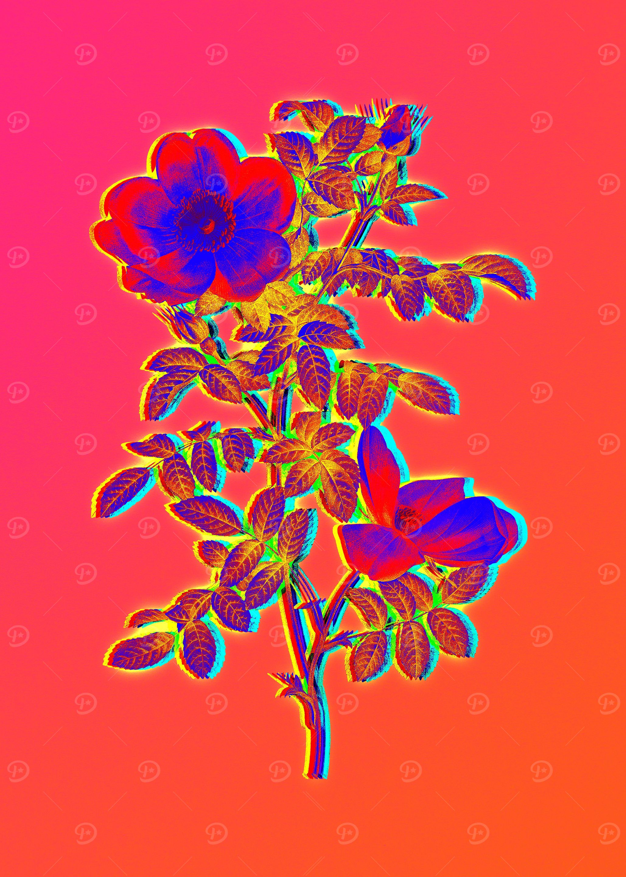 Pink Neon Roses