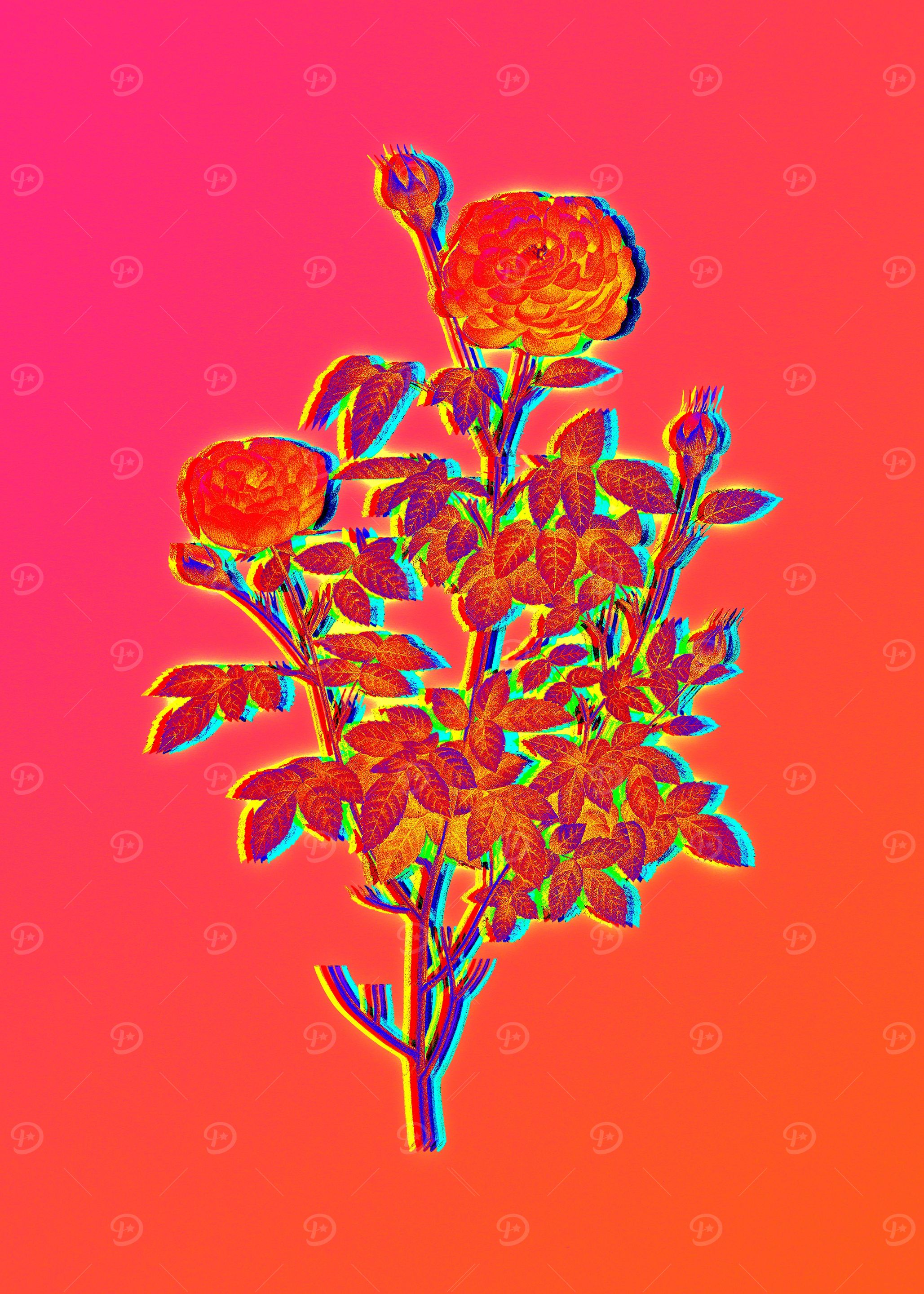Neon Botanicals Drawing