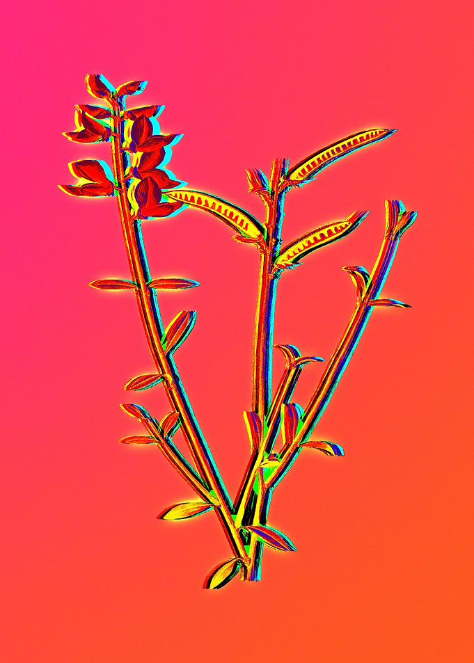 Neon Botanical Drawings