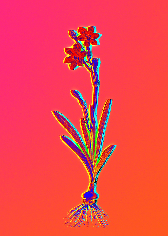 Neon Flowers Illustration
