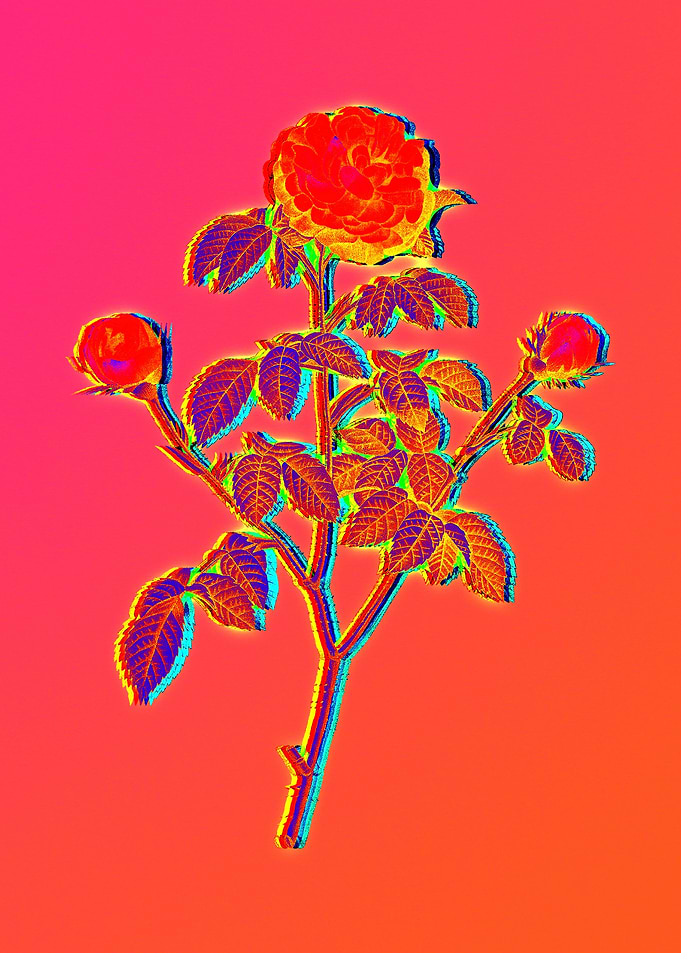 Neon Flower Illustration